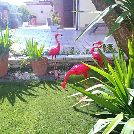 Casa Giardino Lägenhet San Benedetto del Tronto Exteriör bild