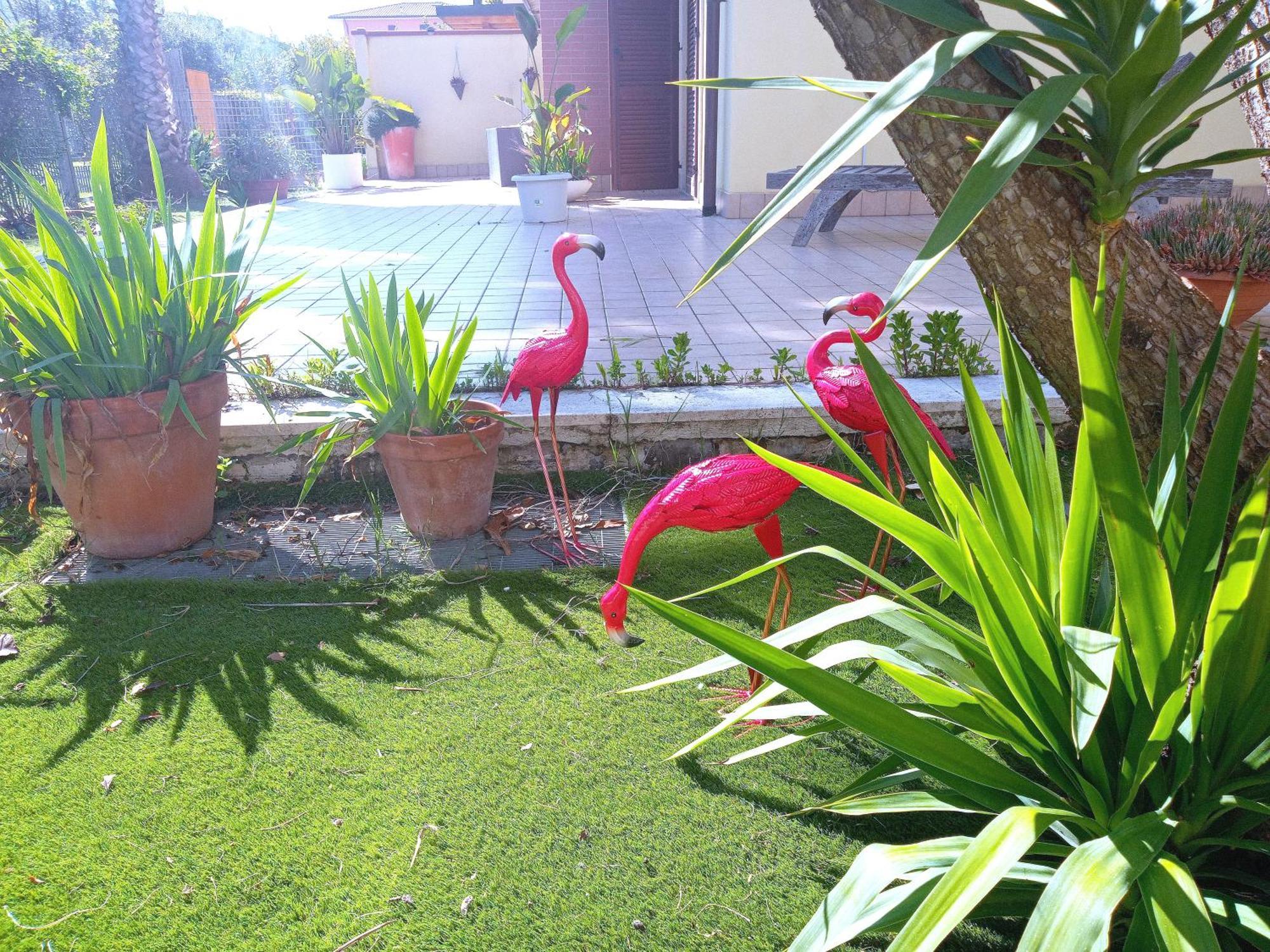 Casa Giardino Lägenhet San Benedetto del Tronto Exteriör bild